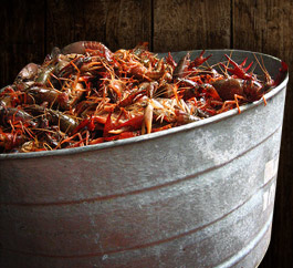 2010 Crawfish Boil